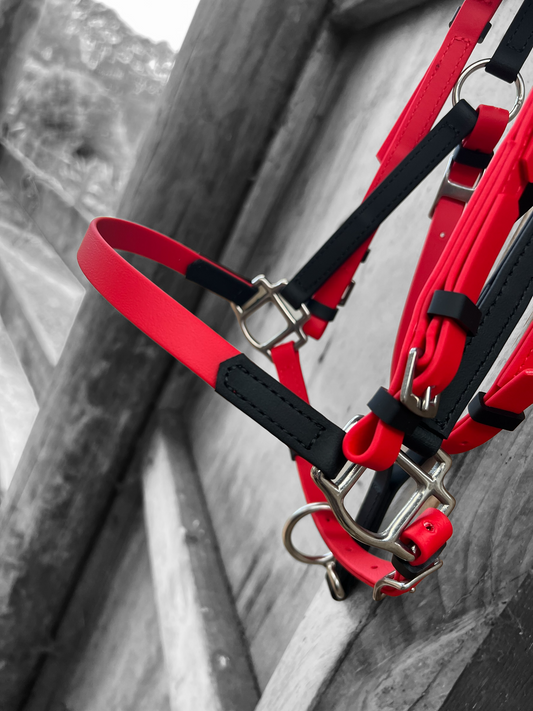 LS Deux Bridle - Red & Black