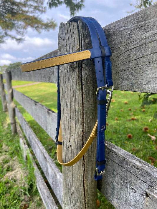 Race Bridle - Navy & Gold