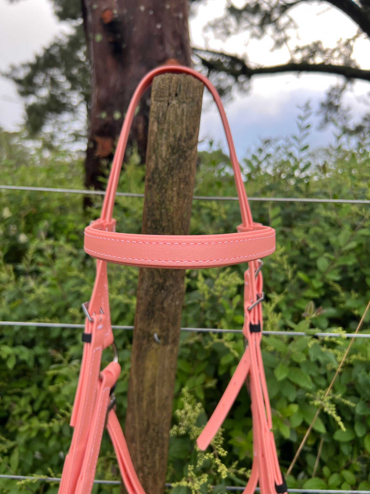 LS Deux Bridle - Rose Gold