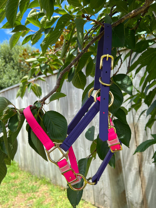 A vibrant, custom-designed LS Equestrian halter from the "Design Your Own LS Halter- Miniature Sizes" collection, featuring pink and purple straps with gold buckles, hangs on a tree branch surrounded by lush green leaves. In the background, a wooden fence and grass are visible beneath a clear blue sky.