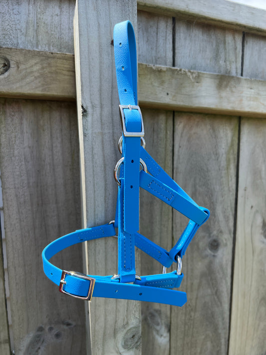 Diseñe su propio cabestro Paddock: accesorios de níquel