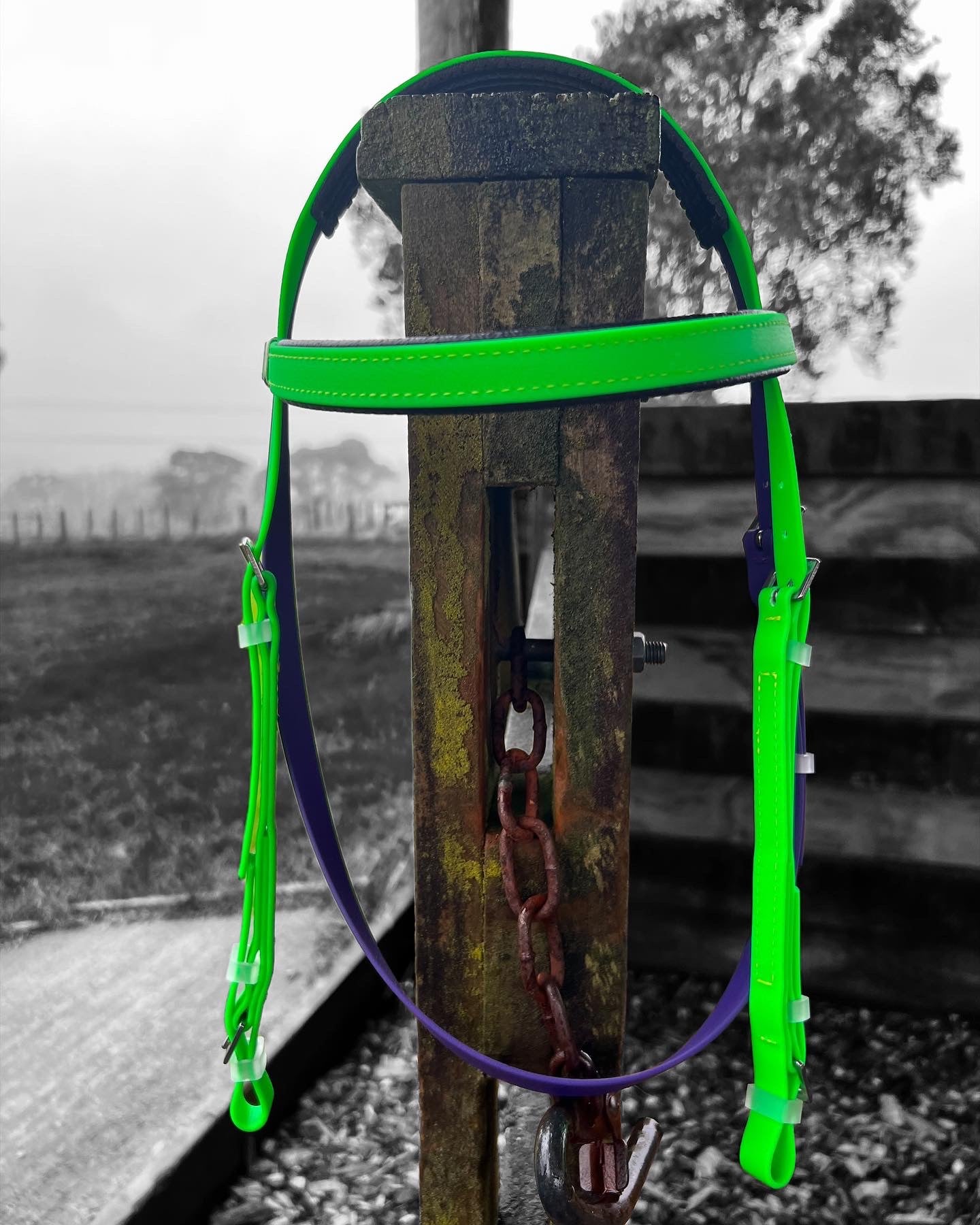 Padded Race Bridle - Bright Green & Purple