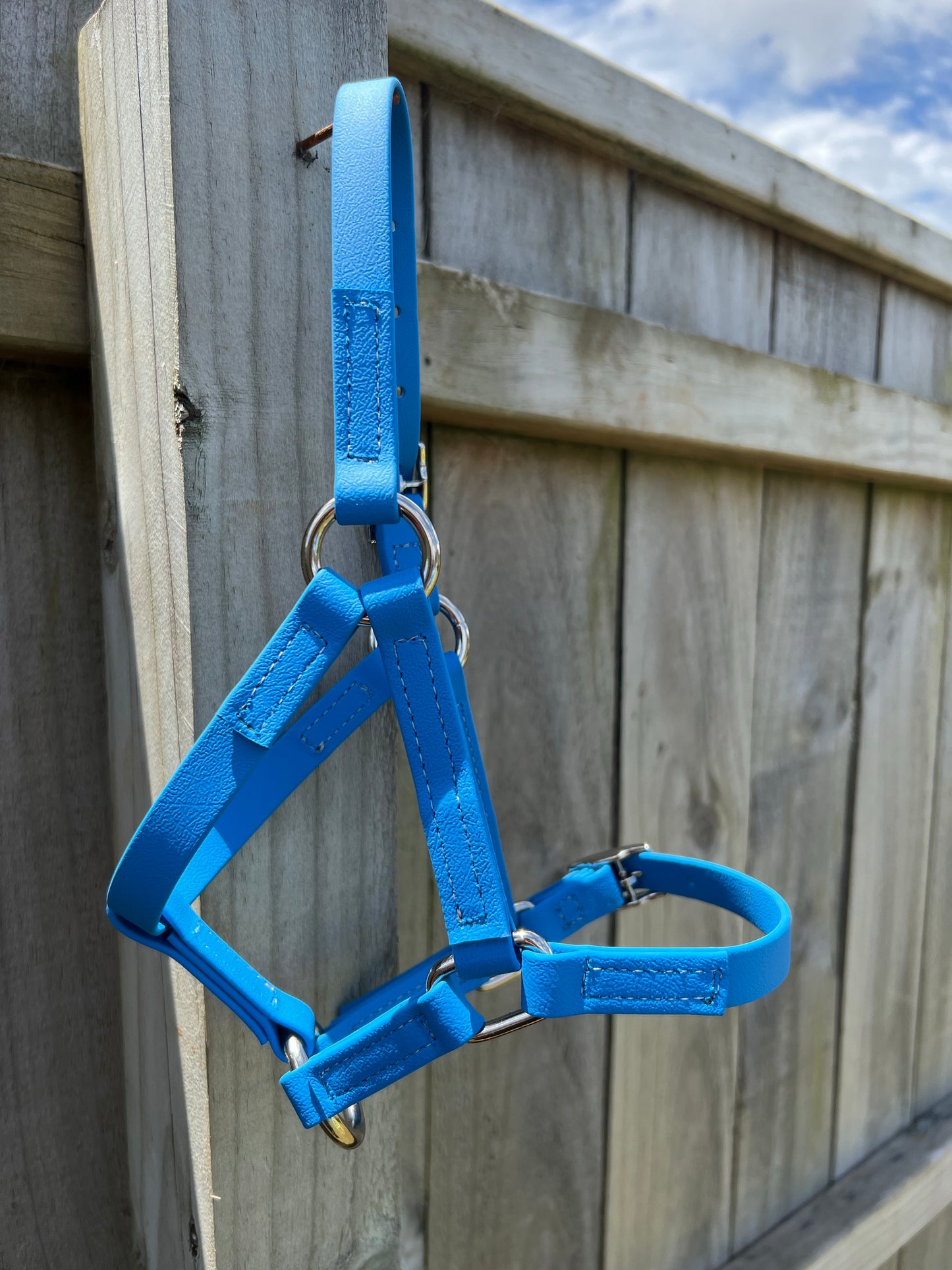 Yearling Halter - Cyan Blue