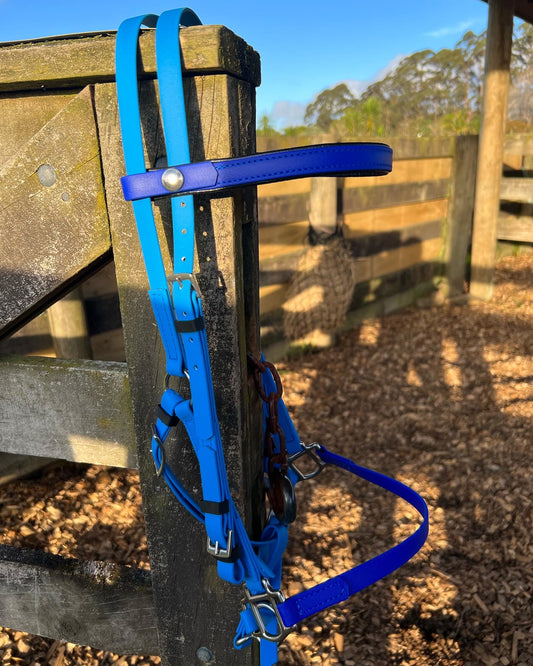 A vibrant cyan and royal blue LS Deux Bridle by LS Equestrian, crafted in New Zealand from resilient Beta BioThane, is draped over a wooden fence post. In the distance, weathered fences and a hay net are visible. The ground is strewn with wood chips beneath a sunny, clear blue sky.