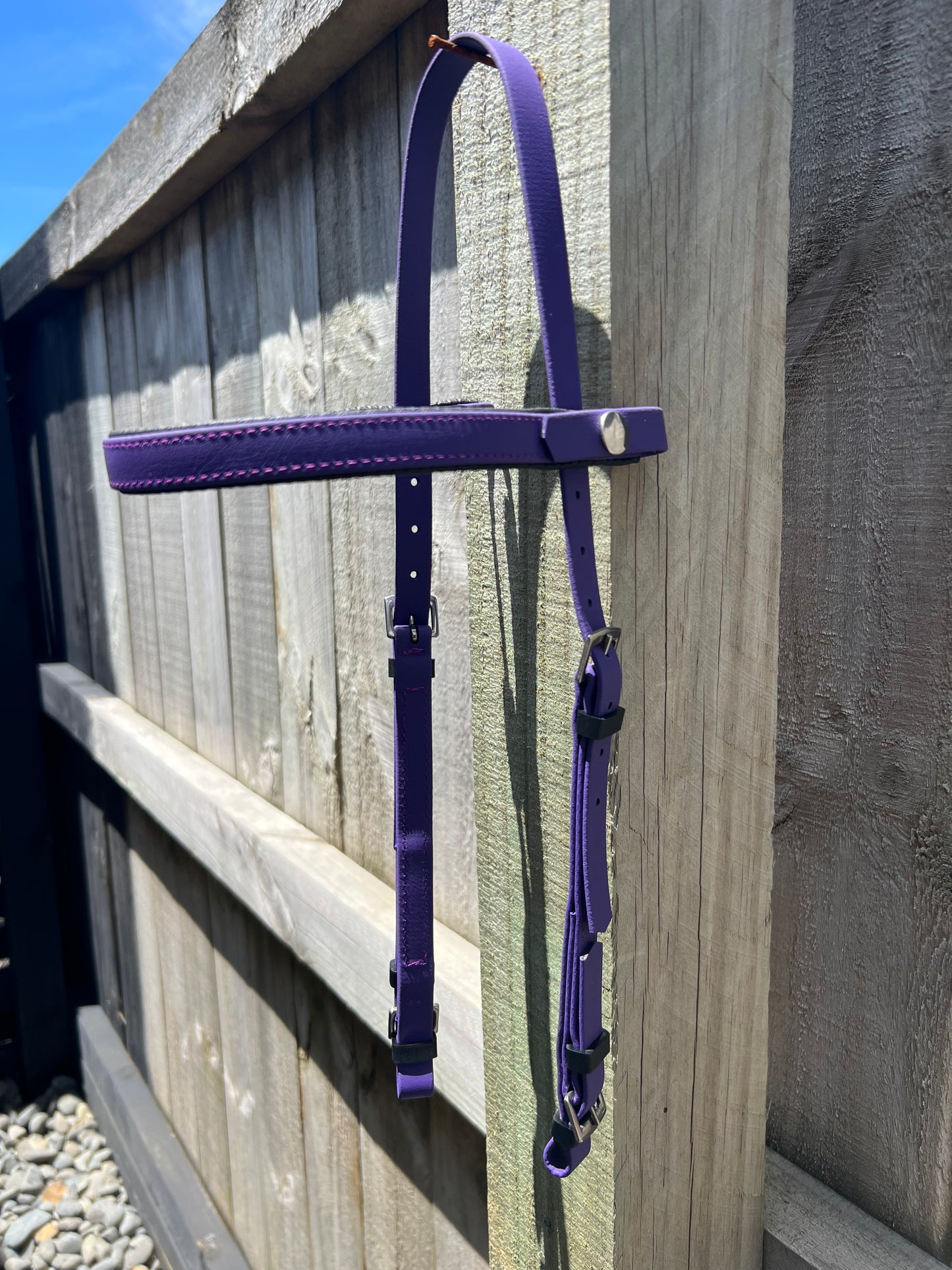 Cabecera LS - Púrpura