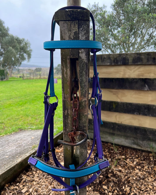 LS Deux Bridle Padded - Lagune & Purple