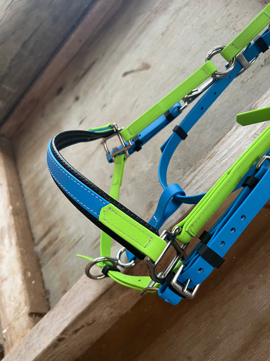 LS Enduro Bridle - Cyan Blue & Apple Green