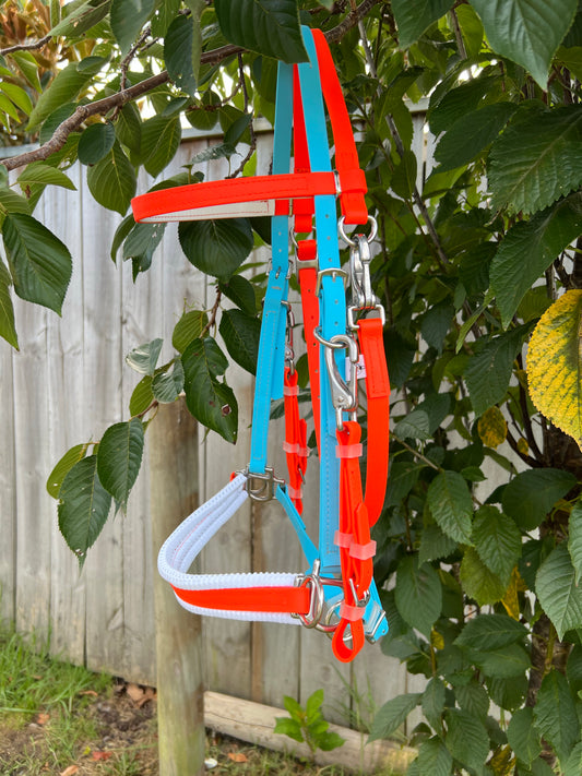 A colorful LS Equestrian BioThane®️ Multi Bridle from Option 1, featuring red, blue, and white straps, is hanging on a leafy tree branch in front of a wooden fence.