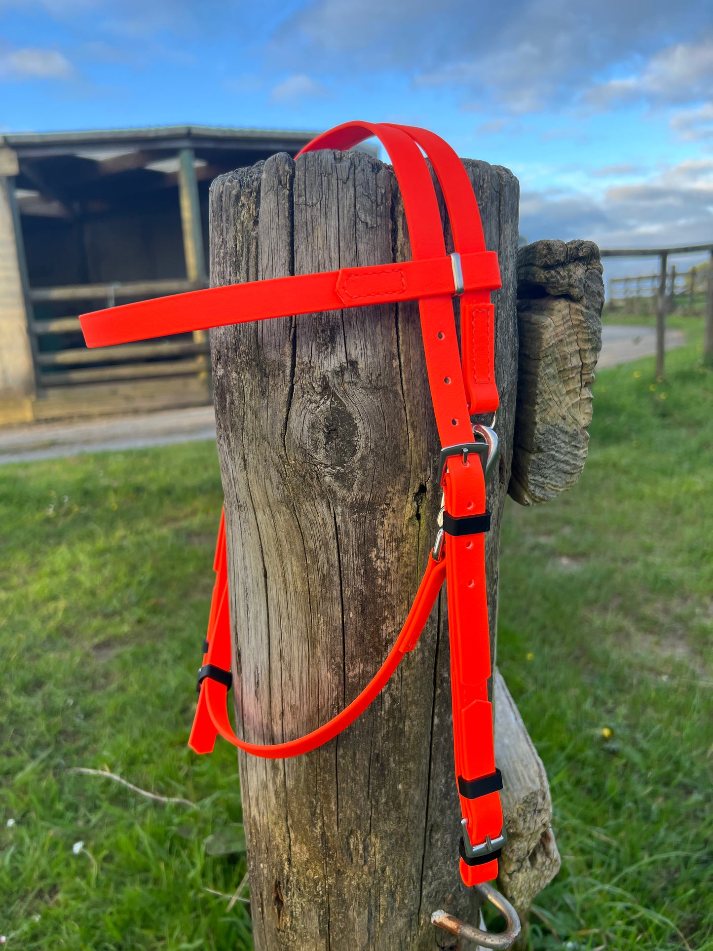 Zero Padding Race Bridle - Fluro Orange