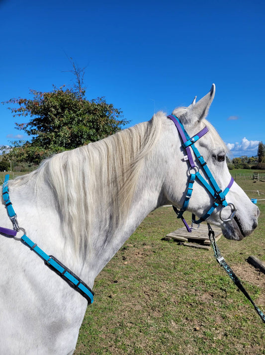In a grassy field under a clear blue sky, a white horse is adorned with an LS Equestrian LS Deux Bridle in Lagune Blue & Purple. Trees and fences fill the background as the horse gazes to the right.