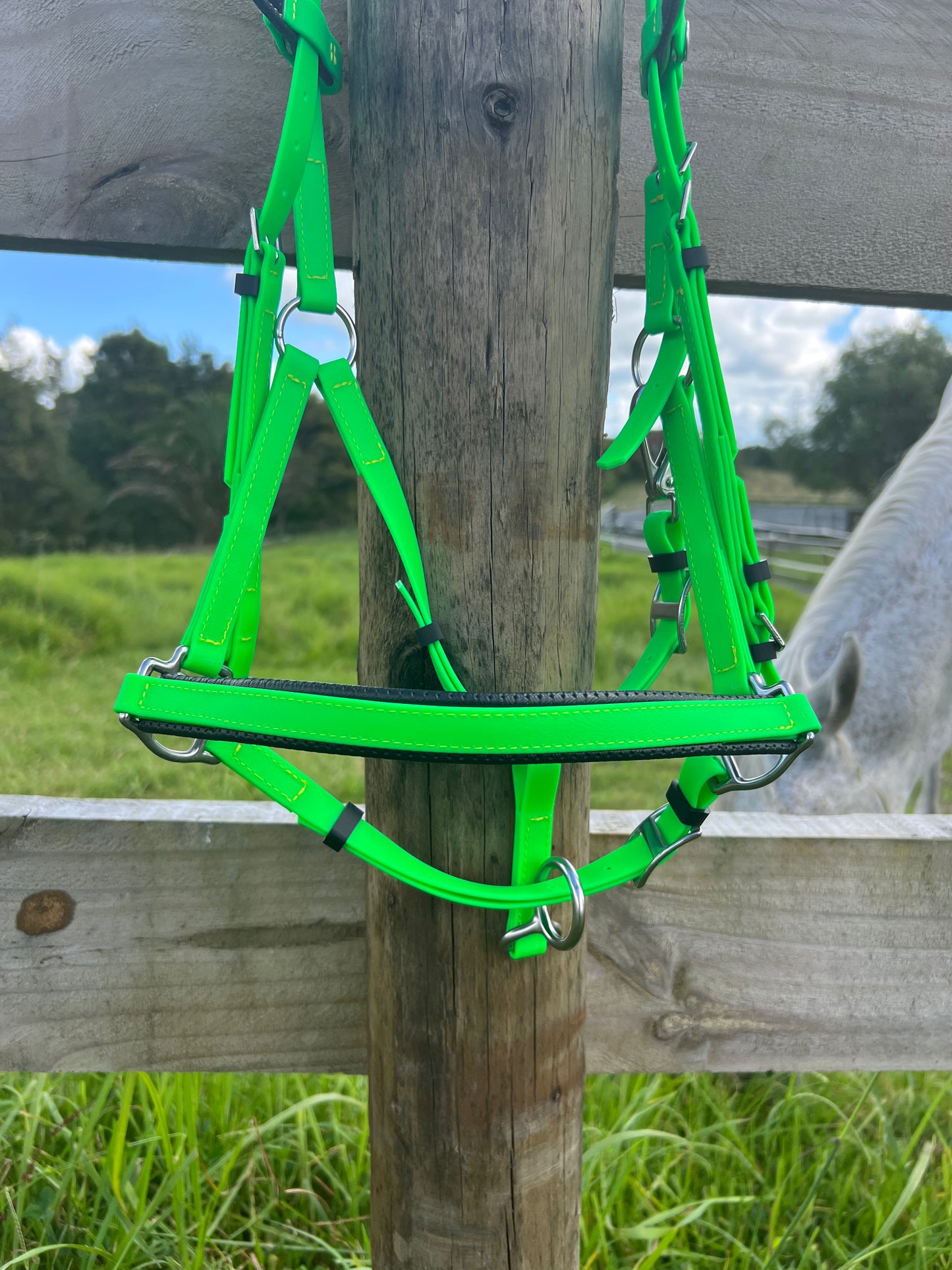 Brida LS Deux - Bright Geeen