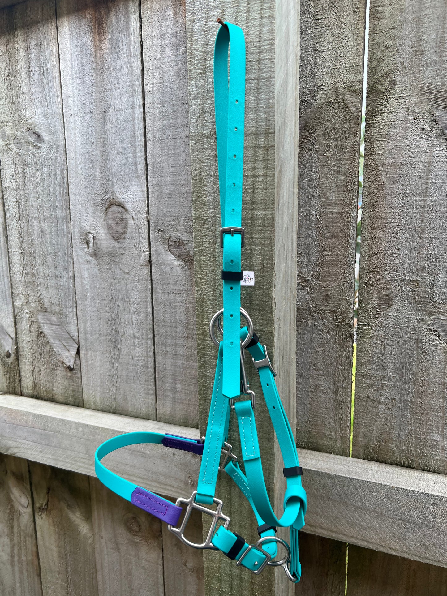 A teal LS Halter from LS Equestrian, adorned with silver buckles, hangs on a wooden fence. This halter features adjustable straps and purple padding under the noseband area, ensuring maximum comfort for your horse.