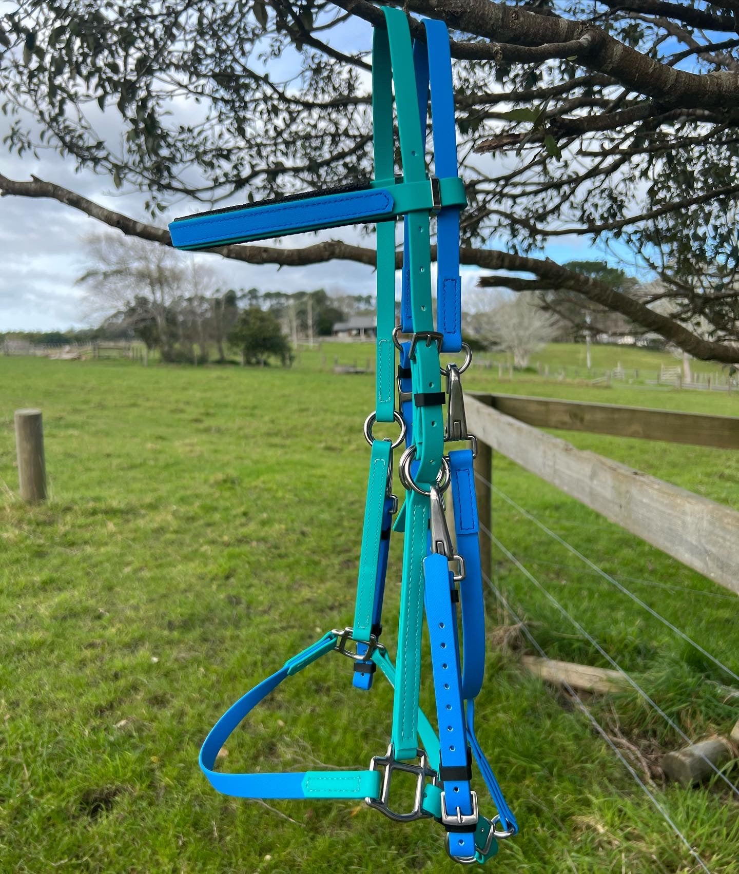 Brida LS Enduro: verde azulado y azul cian