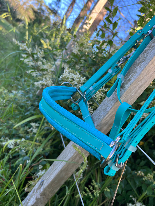 A LS Equestrian 3 in 1 Bridle in teal hangs on a wooden fence amid lush greenery and white wildflowers, set against a clear blue sky.