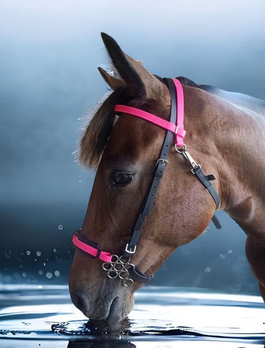 Biothane®️Endurance Bridle, 2 part bridle, deluxe bridle, trekking bridle, bridle. Equestrian, horse tack, endurance tack, biothane tack, bitless bridle, trekking bridle, horse, equine, beta biothane, beta, reflective, reflective biothane, reflective bridle, English bridle, cavesson bridle, Hanoverian bridle, English bridle, bridle with flash, flash noseband, racing bridle, race bridle, hackamore bridle