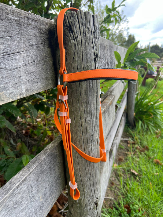 LS Barcoo Bridle - Burnt Orange