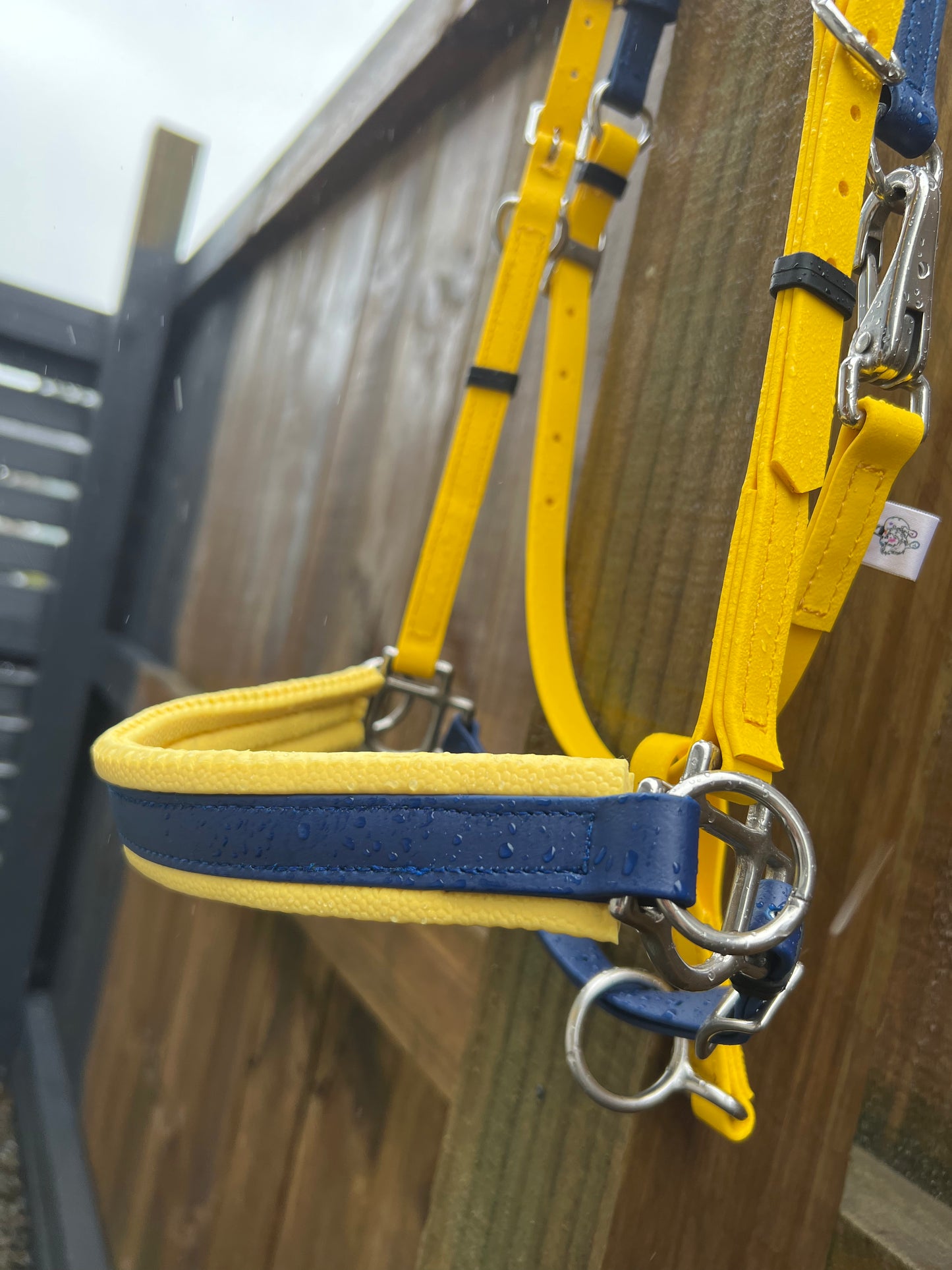 A vibrant yellow and navy Bitless Sidepull Bridle from the LS Equestrian collection hangs on a wooden fence. Water droplets glisten on the BioThane material, indicating recent rain. The background features wooden slats, capturing the essence of an outdoor setting.