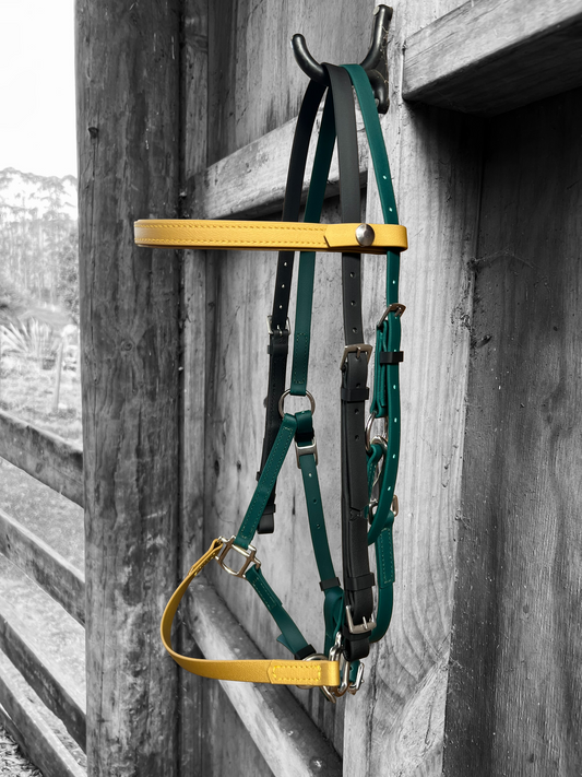 LS Deux Bridle - Hunter Green, Black & Gold