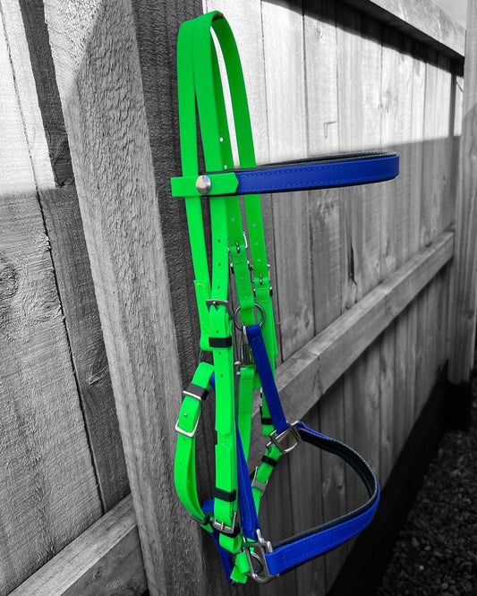 The LS Deux Bridle by LS Equestrian, featuring a padded bright green and royal blue design, is ideal for endurance riding. It hangs on a wooden fence against a grayscale background.