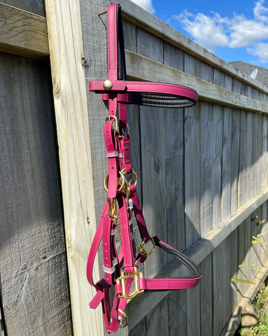 Cabezada Halter Acolchada - Granate