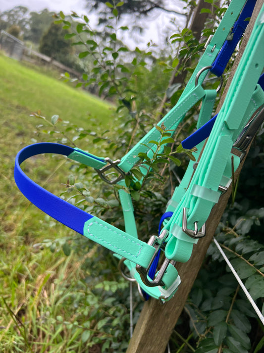 LS Deux Bridle - Seafoam & Royal Blue