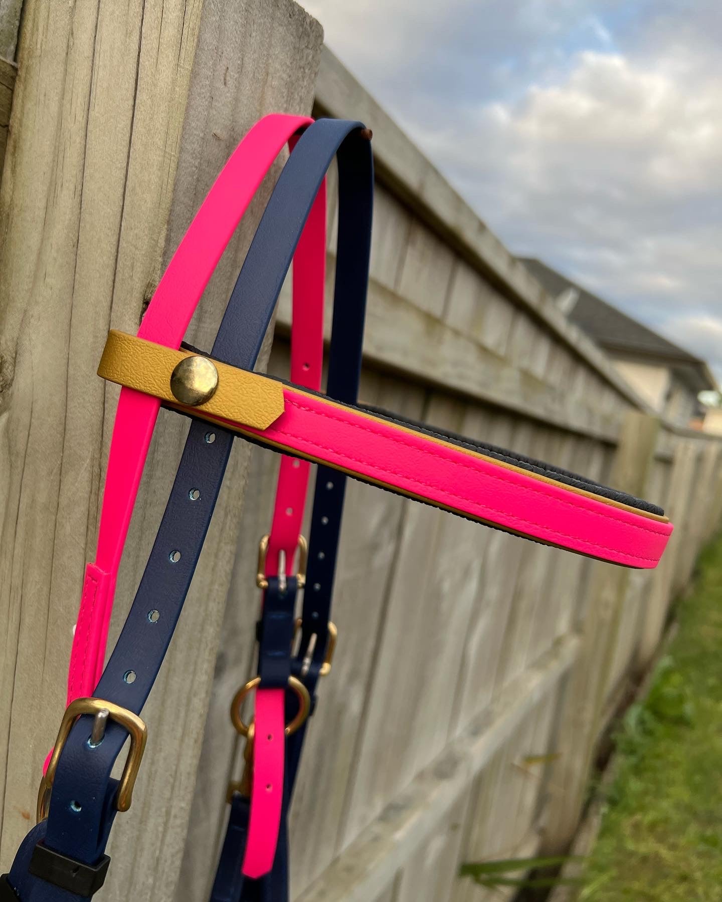 An eye-catching LS Deux Bridle in hot pink and navy, crafted by LS Equestrian in New Zealand, hangs on a wooden fence. The beta biothane design is enhanced with gold hardware against a backdrop of a grassy yard and a cloudy sky.
