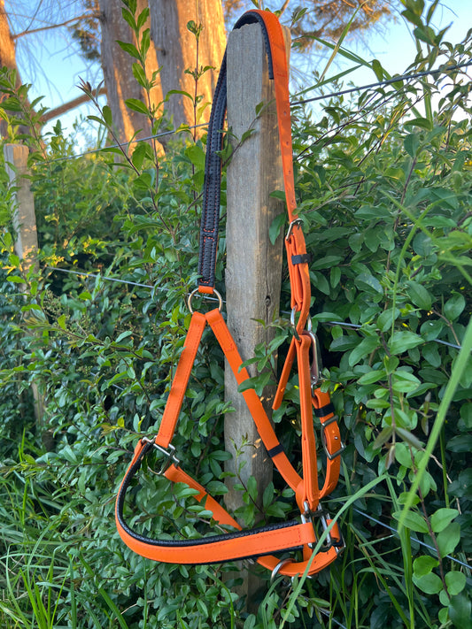 LS Deux Bridle - Padded Burnt Orange