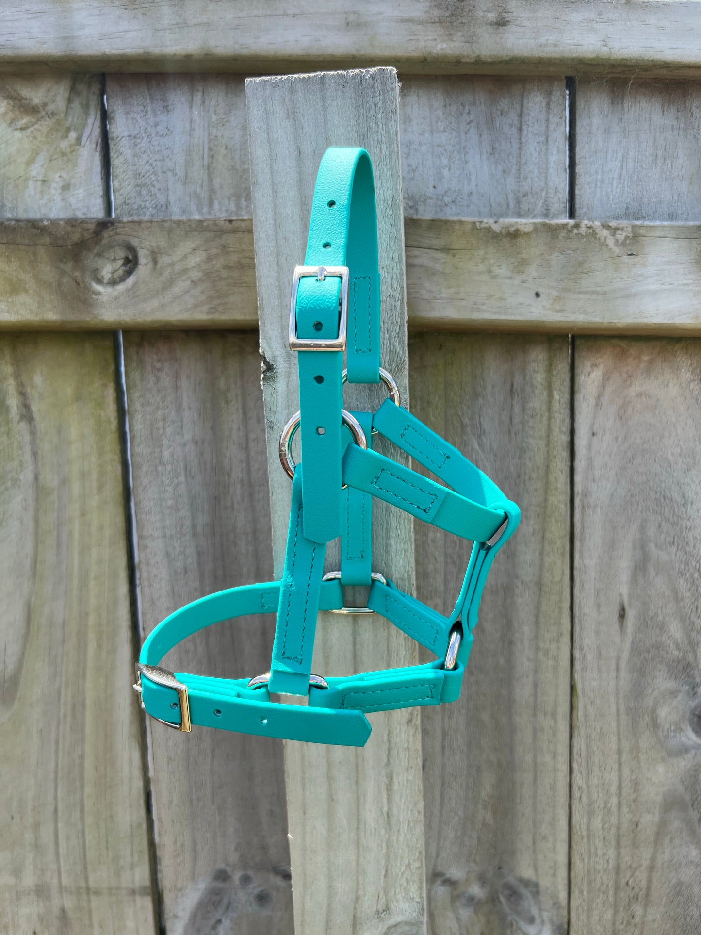 A teal LS Equestrian Foal Halter is hanging on a wooden fence, with nickel fittings enhancing its sturdy appearance against the rustic background.
