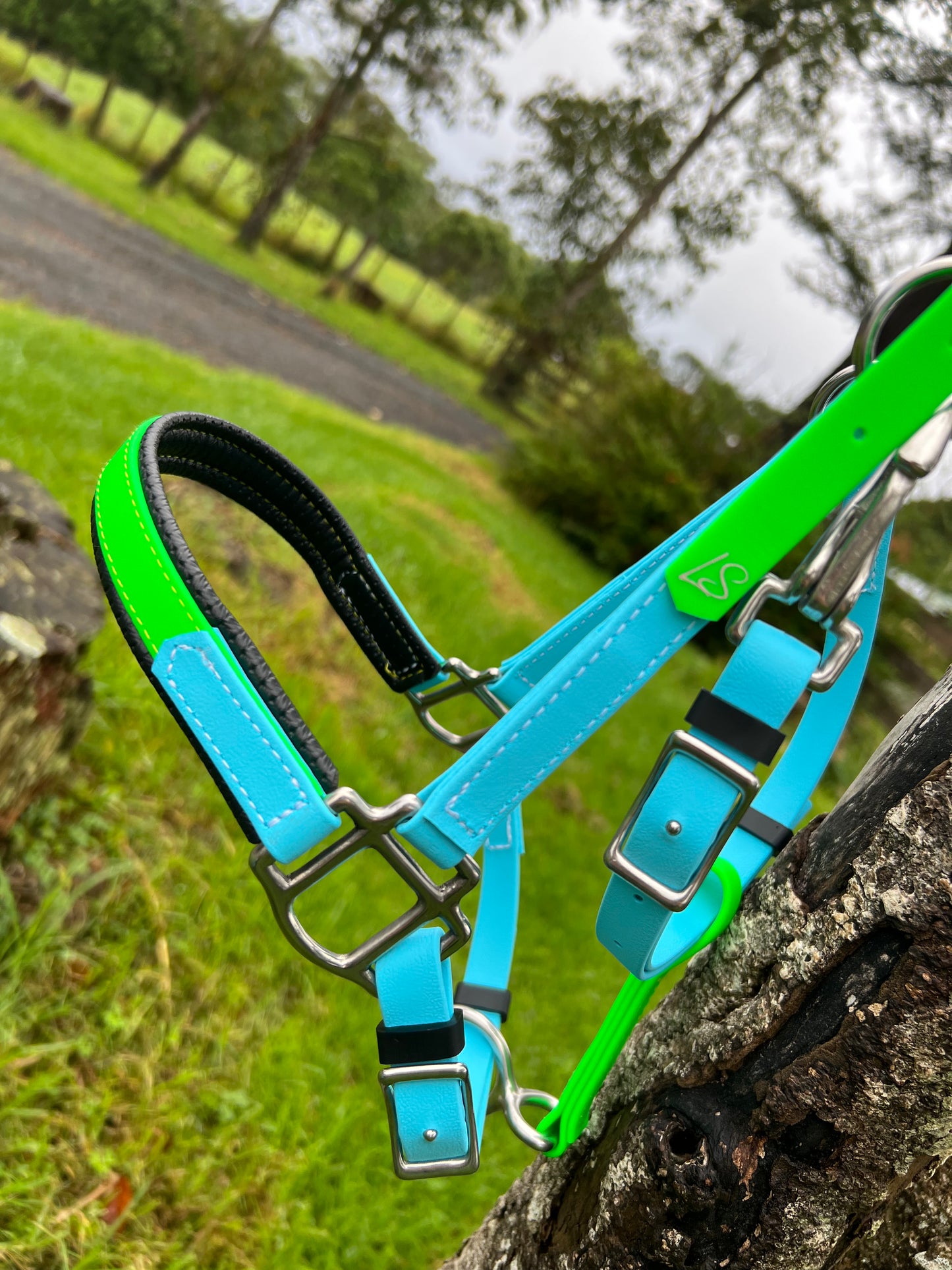 A vibrant blue and green LS Equestrian LS Deux Padded Halter, crafted in New Zealand from Beta BioThane, hangs on a tree branch against a lush countryside backdrop, with a distant gravel path. Its metal buckles gleam with a new shine.
