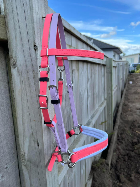 Side Pull Bitless Bridle - Coral & Lavender