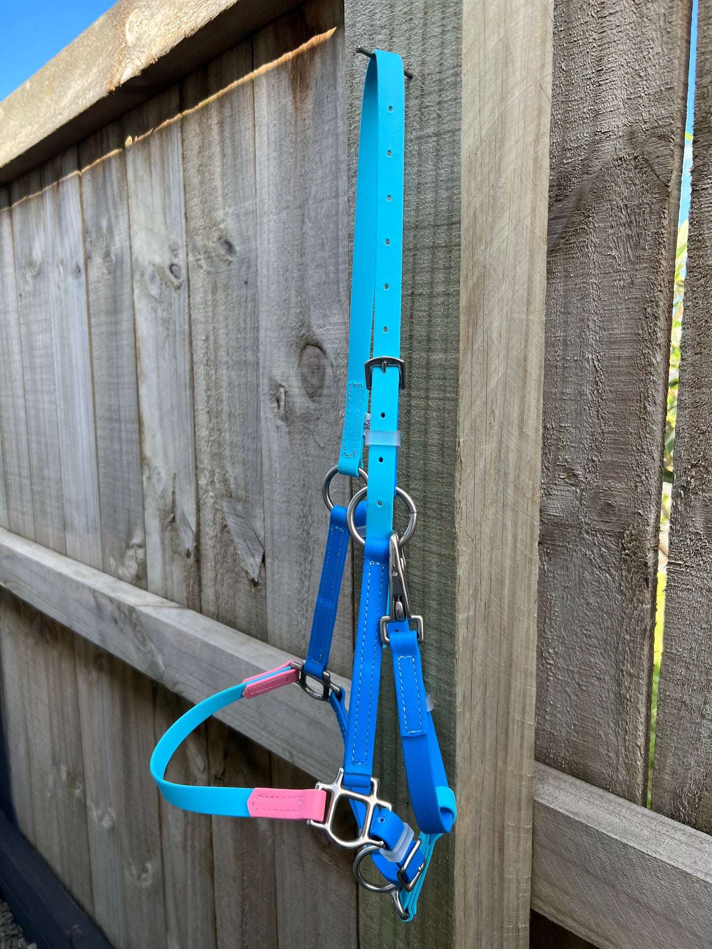 The LS Equestrian Design Your Own - LS BioThane®️ Deux Halter, handmade in New Zealand, is a vibrant blue horse halter with pink accents. It features adjustable buckles and shiny metal rings. Displayed on a wooden fence under a clear blue sky, it highlights its craftsmanship in an outdoor setting.