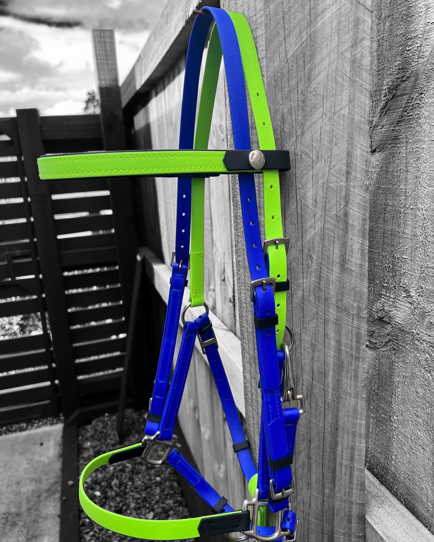 An LS Deux Bridle horse harness by LS Equestrian, featuring apple green, royal blue, and a hint of black straps made from Beta BioThane, hangs on a wooden fence. Handmade in New Zealand, the grayscale background accentuates the harness's vibrant colors.