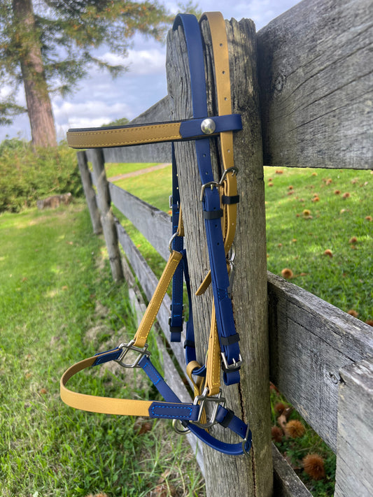 LS Deux Bridle - Navy & Gold
