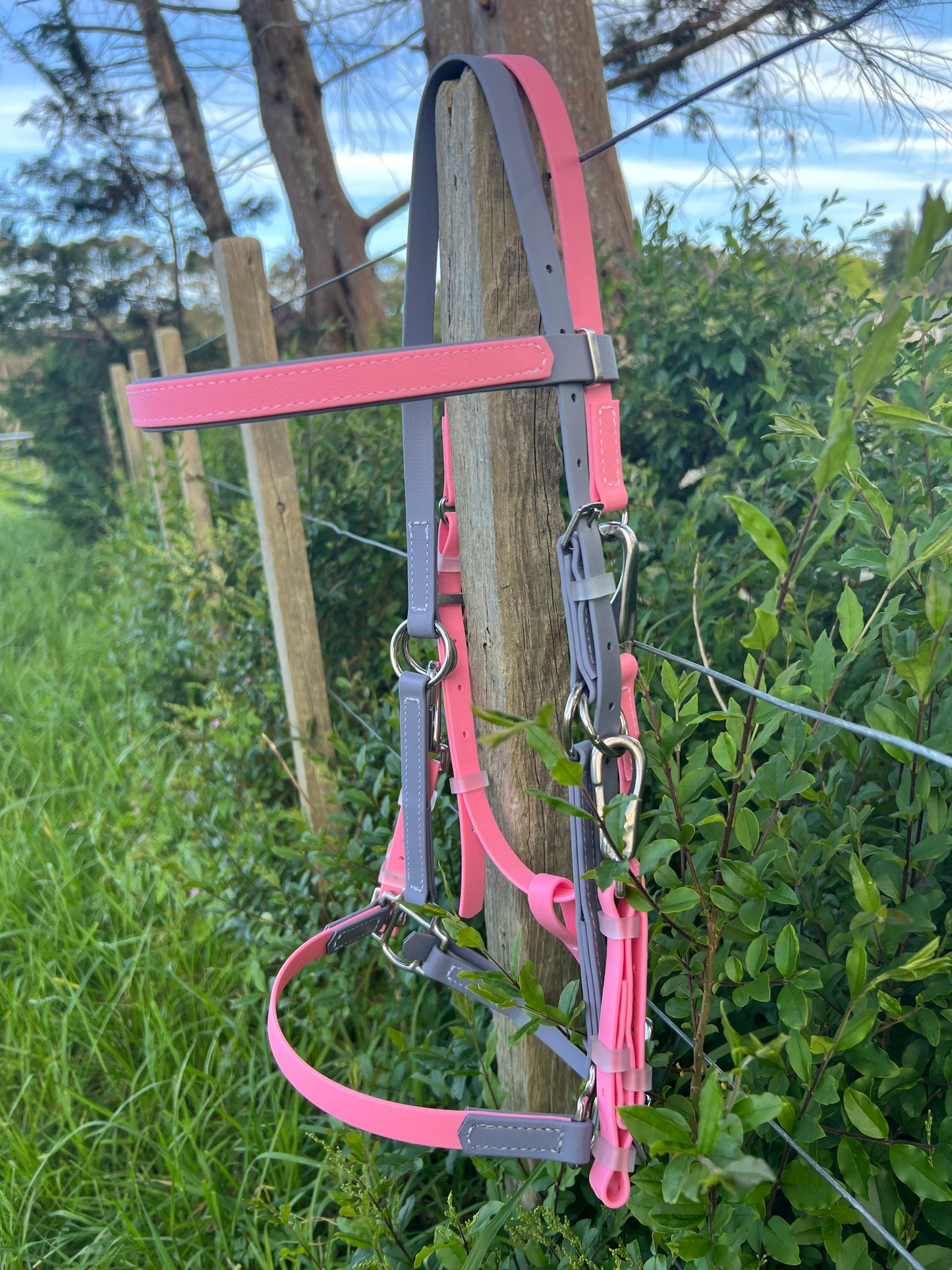 Cabezada LS Enduro - Rosa pastel y gris