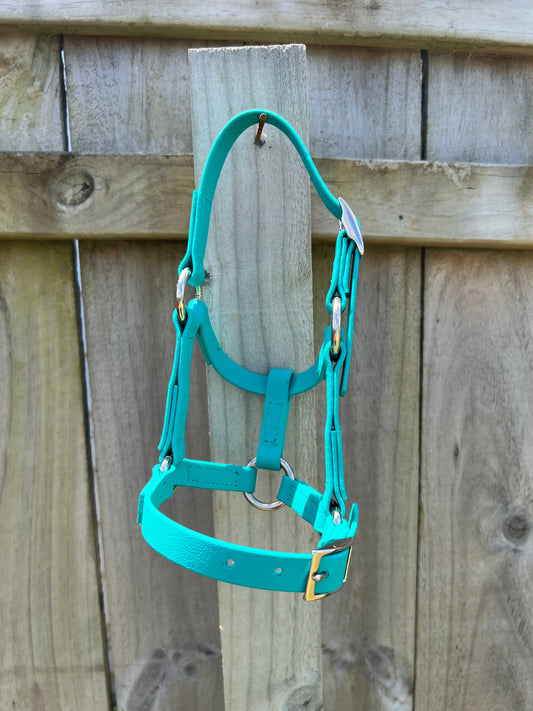 A LS Equestrian Foal Halter in bold teal graces a wooden post, with its nickel fittings creating a striking contrast against the weathered fence beyond.