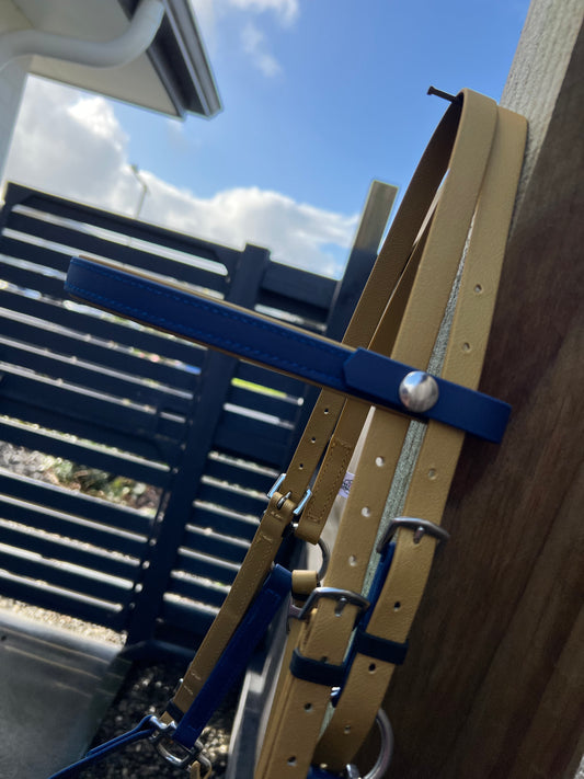 LS Deux Bridle - Gold & Navy Blue