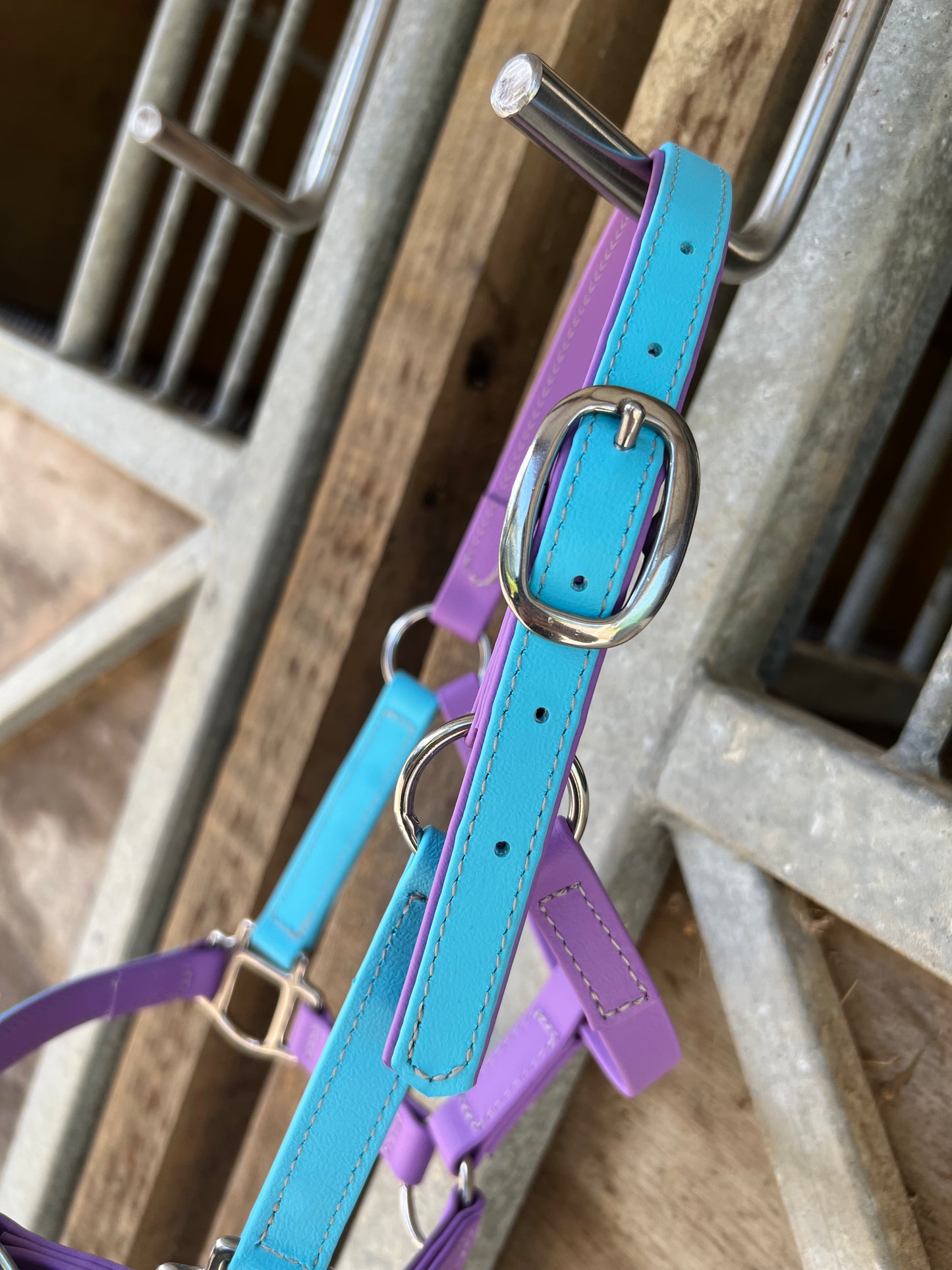 Diseña tu propio cabestro de nariz con hebilla