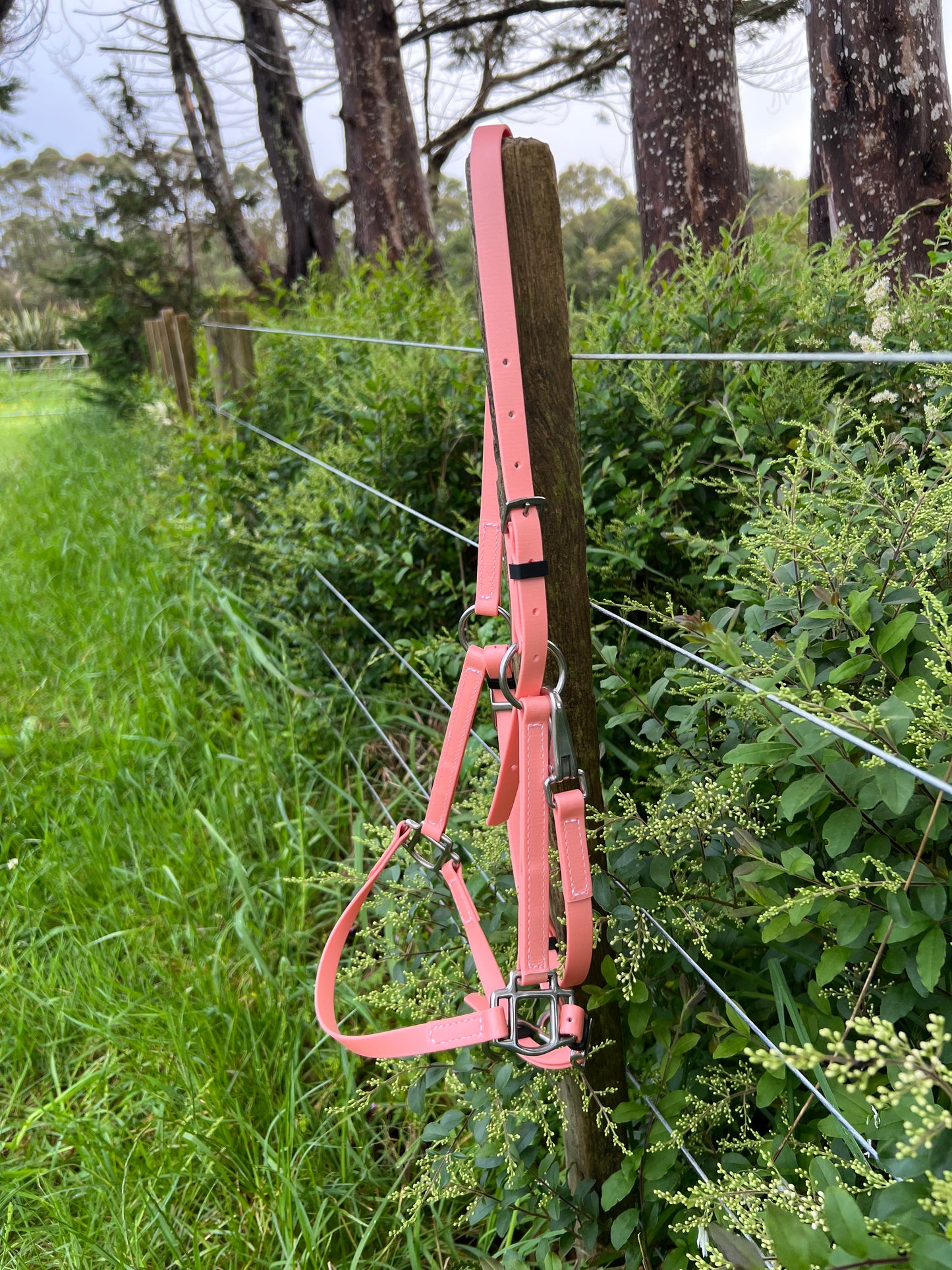 Halter LS - Oro rosa