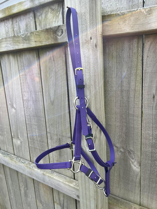 The LS Deux Bridle in vibrant violet purple, crafted by LS Equestrian, with sleek silver buckles, hangs elegantly on a wooden fence. Sunlight and shadows play across the wood to create a bright effect.