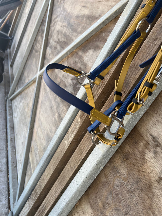LS Deux Bridle - Gold & Navy