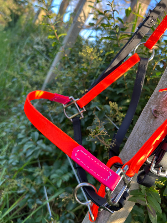 LS Deux Bridle - Black, Bright Orange & Hot Pink