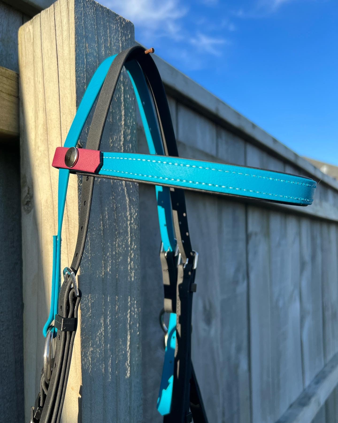 Cabezada LS Deux - Azul Lagune, Granate y Negro