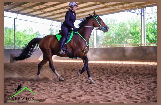 A person in riding gear and helmet rides a brown horse with green tack, including an LS Equestrian LS Deux Endurance Headstall - Quick-Clip Beta® BioThane® Bridle Attachment, in an indoor sand arena. They are mid-stride, and the background reveals a covered structure and greenery ideal for endurance riders.