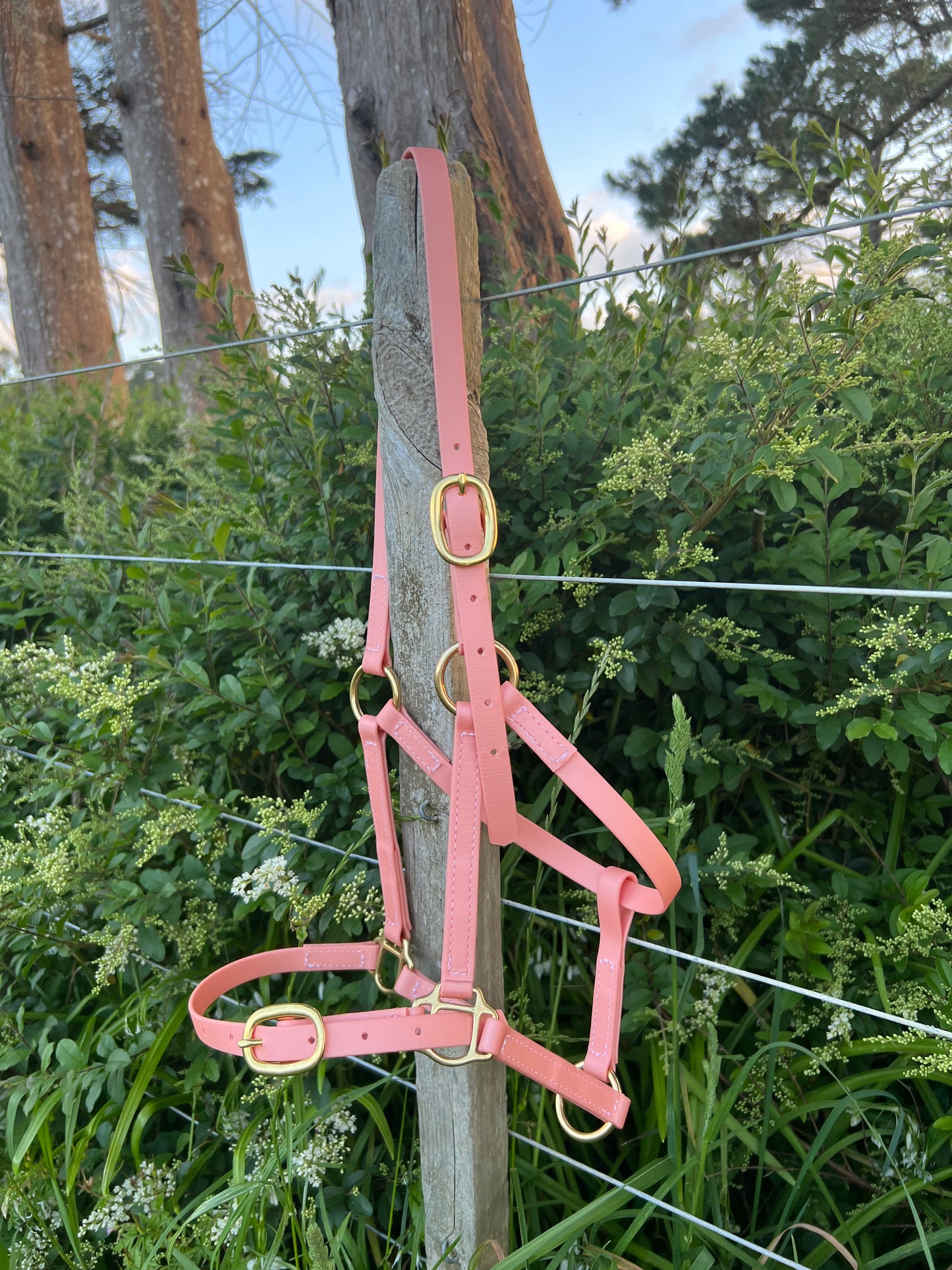 A Buckle Nose Halter - Rose Gold by LS Equestrian hangs on a wooden post amid green bushes and trees. The gleaming pink BioThane halter and custom brass fittings sparkle in the sunlight, its gold-colored buckles beautifully set against a clear sky backdrop.