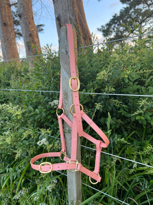 A Buckle Nose Halter - Rose Gold by LS Equestrian hangs on a wooden post amid green bushes and trees. The gleaming pink BioThane halter and custom brass fittings sparkle in the sunlight, its gold-colored buckles beautifully set against a clear sky backdrop.