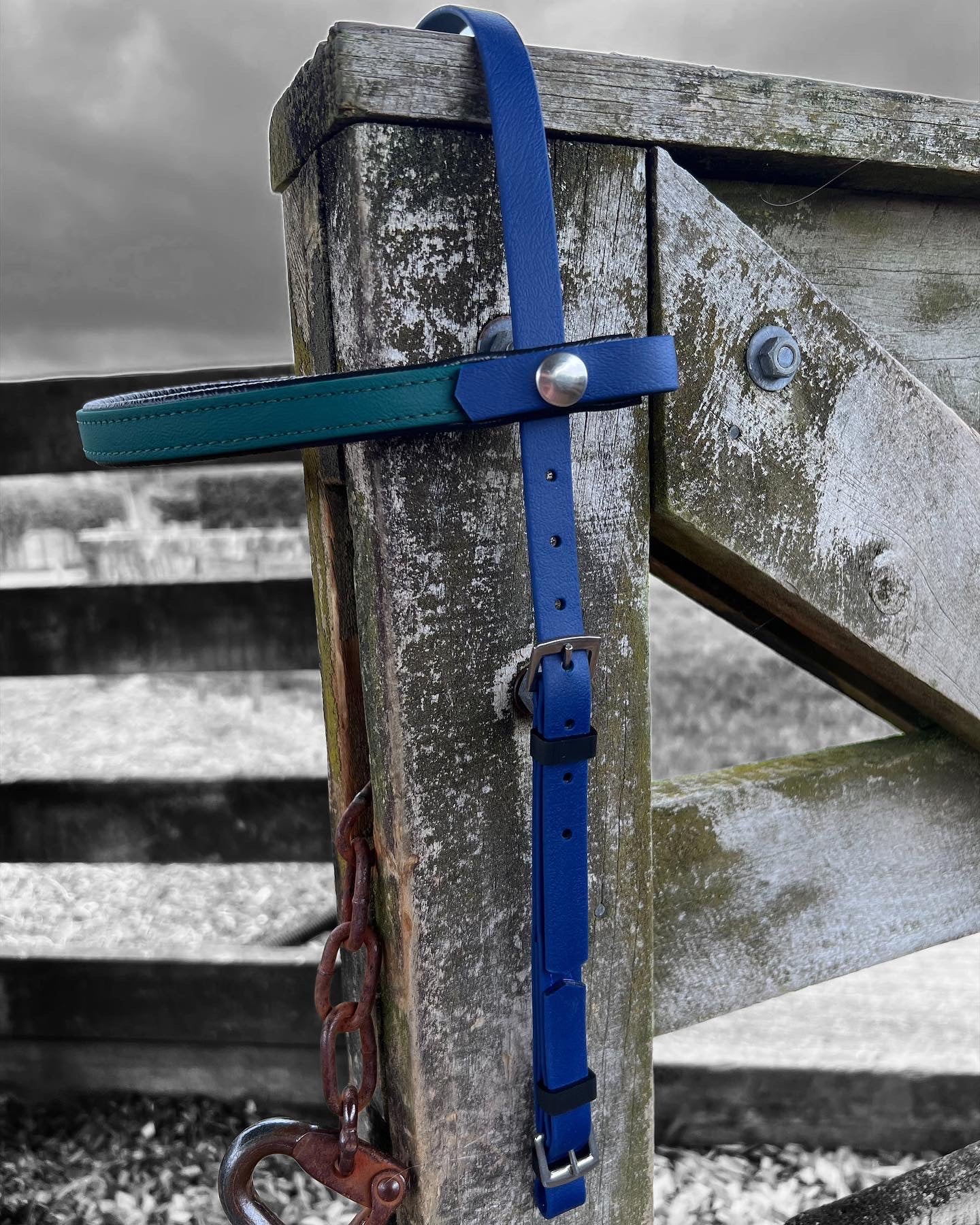 A close-up of a weathered wooden fence presents an LS Equestrian LS Deux Bridle in padded hunter green and navy blue, secured by a metal buckle with an equestrian flair. A metal chain hangs loosely from a hook on the fence, all set against the endurance-testing backdrop of a cloudy sky.