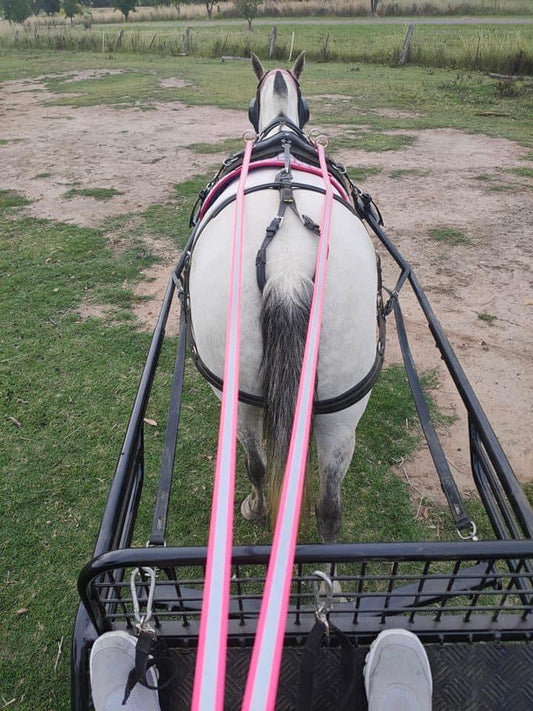 Diseña el tuyo propio: riendas de conducción reflectantes