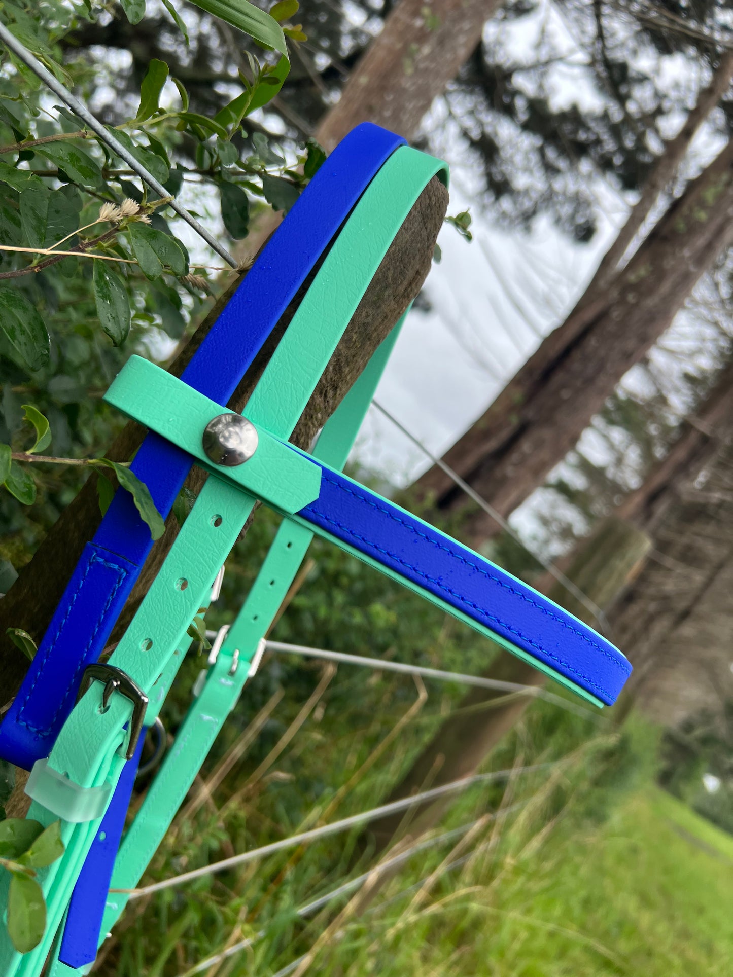 Brida LS Deux - Espuma de mar y azul real