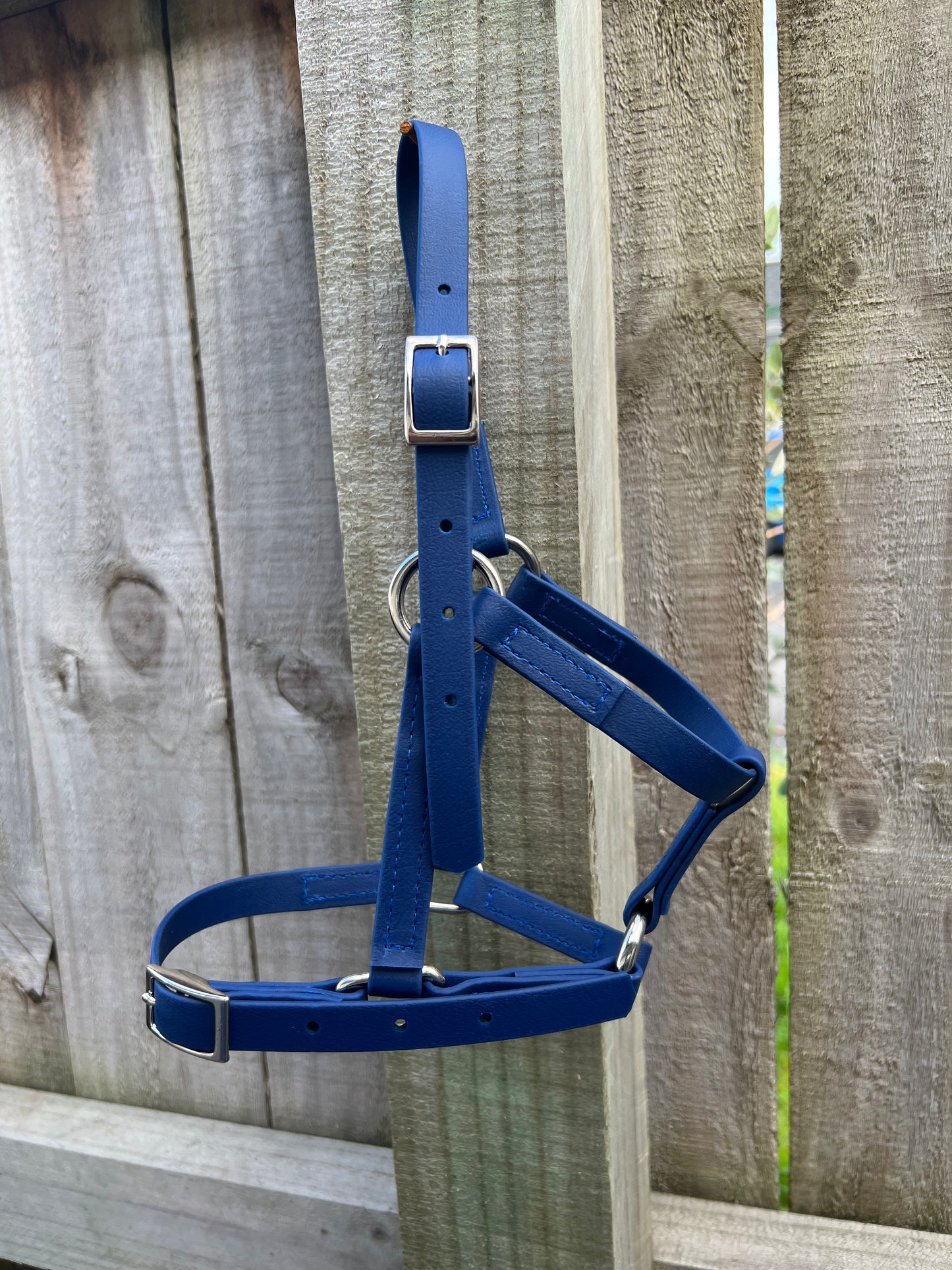 A miniature paddock halter in navy from LS Equestrian is draped over a wooden fence, its metal buckles and rings shining brightly. The vertical wooden planks behind it add a touch of rustic charm.