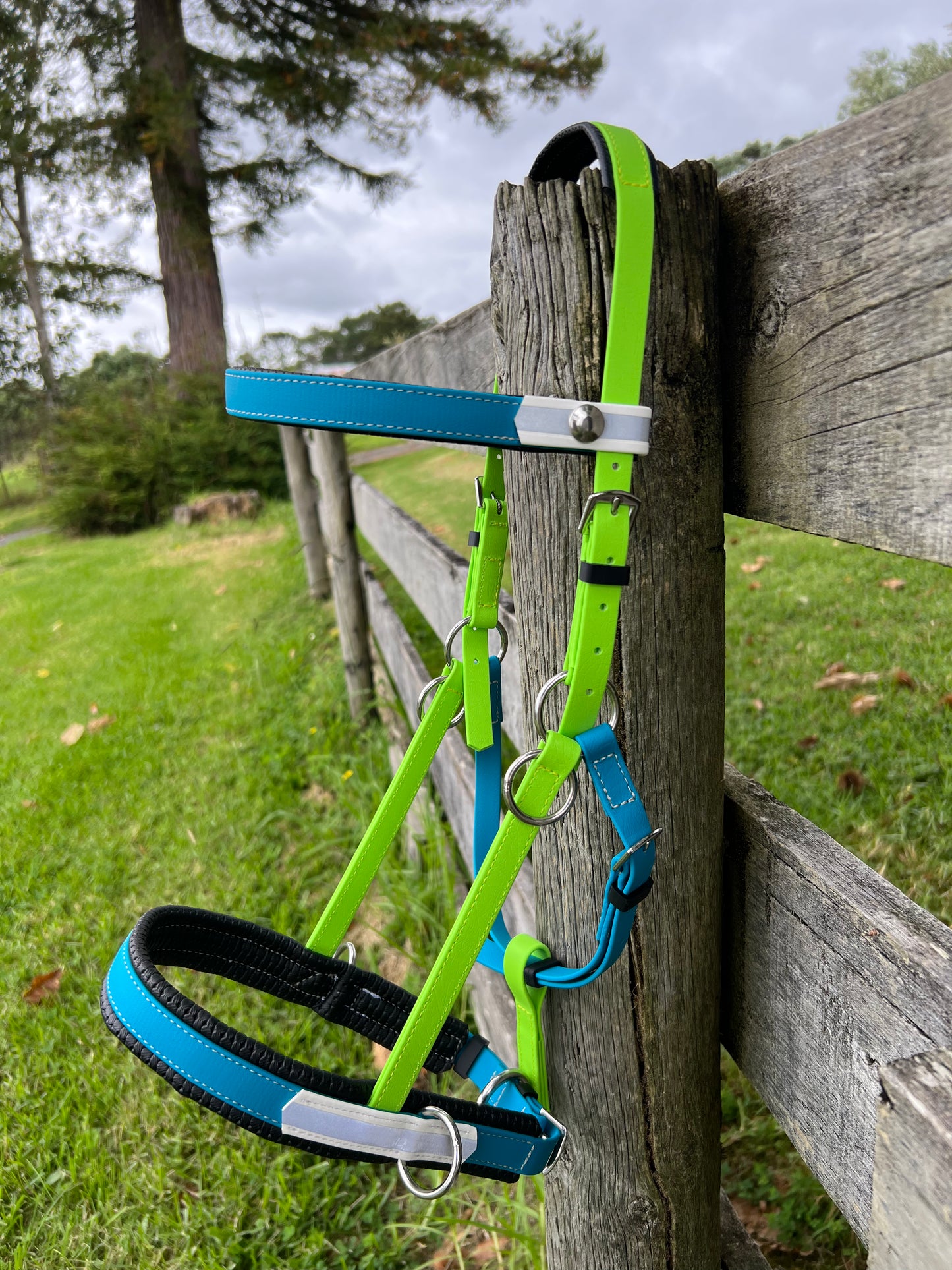Reflective Multi Bridle - Apple Green, Lagune Blue & White Reflective